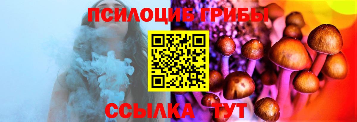 Гай  даркнет сайт  Вход с VPN  Псилоцибиновые грибы ЛСД 